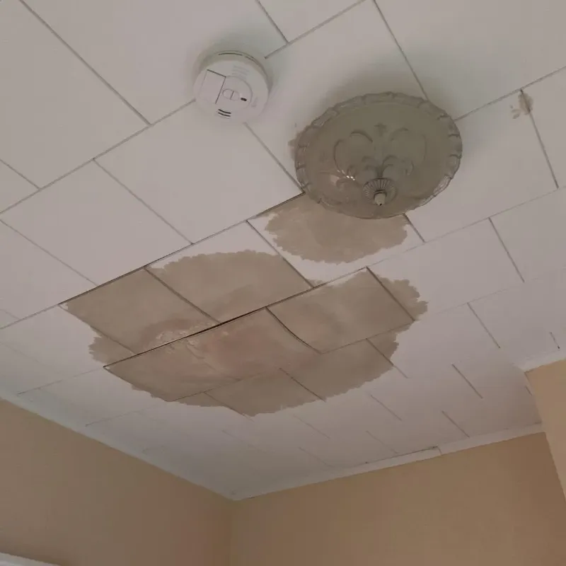 Ceiling Water Damage Repair in Beardstown, IL