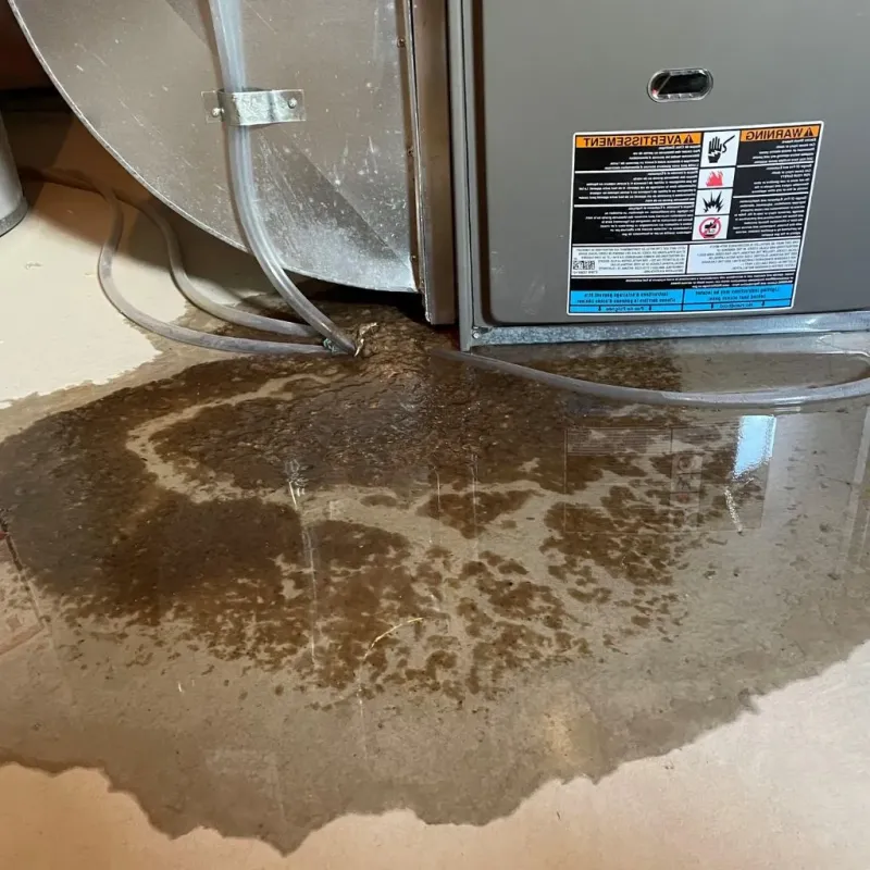 Pipe Burst and Leak Restoration in Beardstown, IL