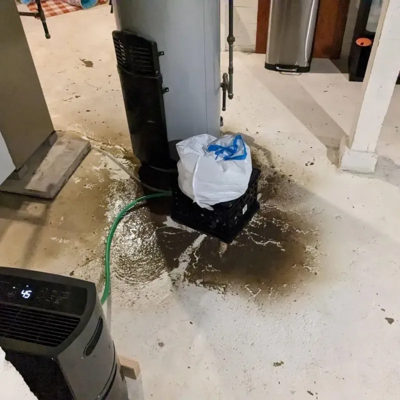 Sewage Backup Cleanup Service in Beardstown, IL
